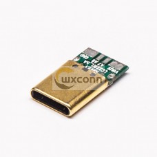 USB Type C Port Plug Straight 12 Pin PCB Mount USB Type C Port Plug Straight 12 Pin PCB Mount